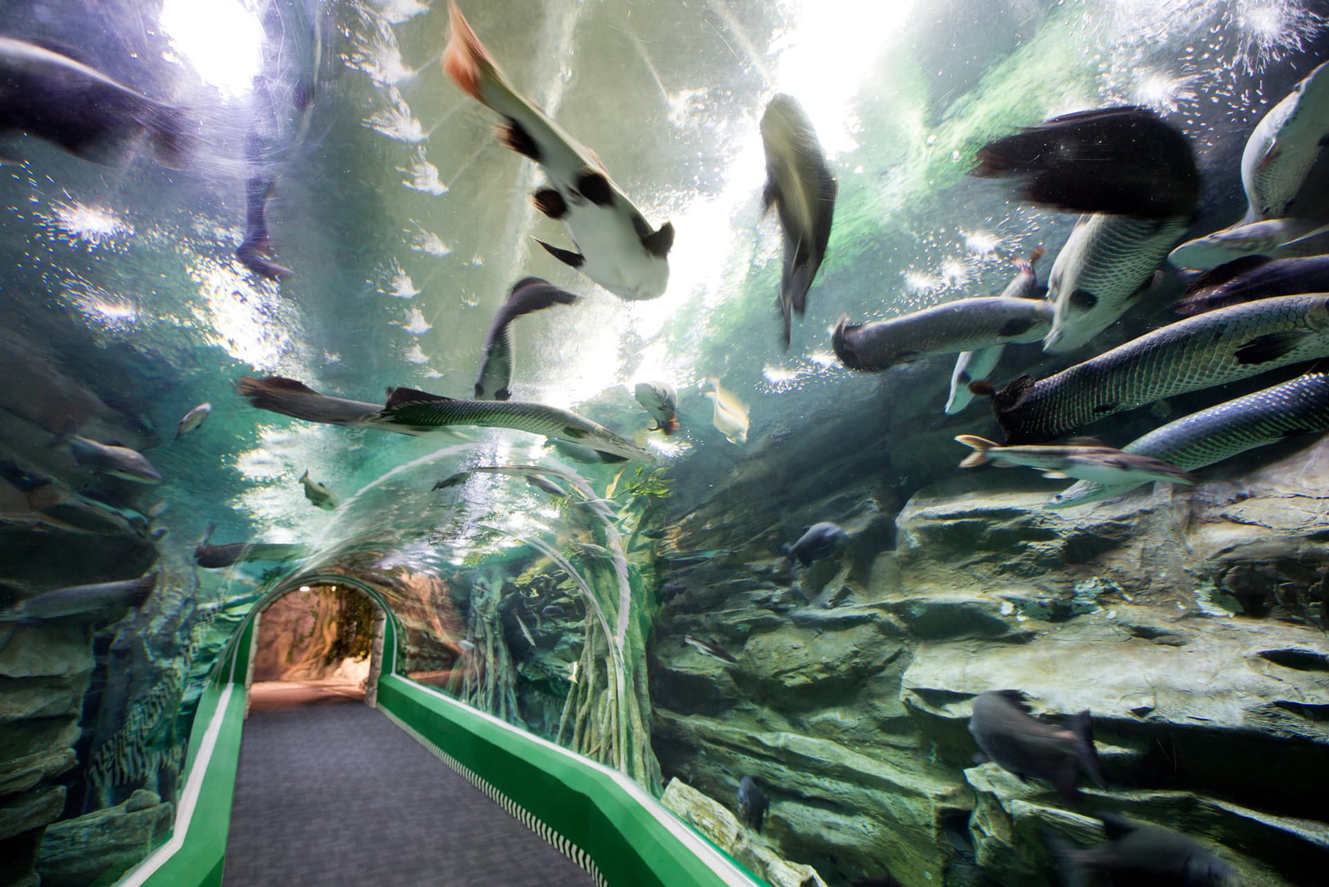 COMBO: Lotte World Adventure Seoul + Lotte World Aquarium + Seoul Sky Observatory Tickets - image 11