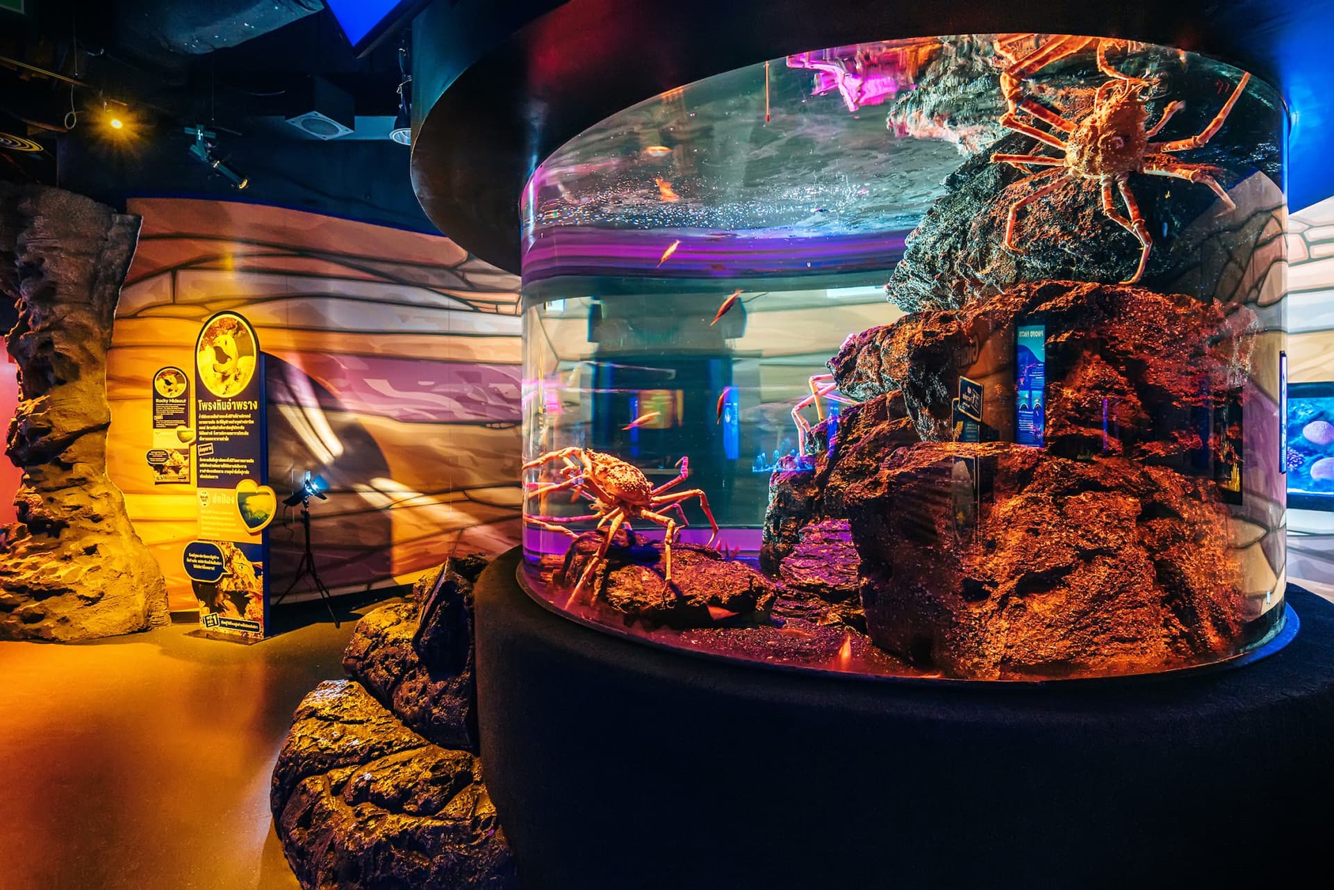 SEA LIFE Bangkok Ocean World Ticket - image 6